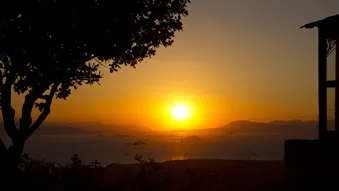 Aegina nature